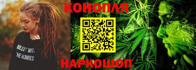 гашик Будённовск