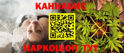 гашик Будённовск
