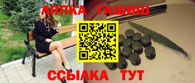 гашик Будённовск