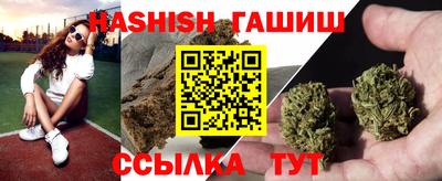 гашик Будённовск