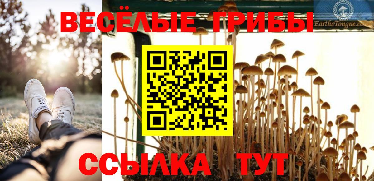 Кунгур  Галлюциногенные грибы прущие грибы  как найти наркотики  Псилоцибиновые грибы ЛСД  Вход с VPN 
